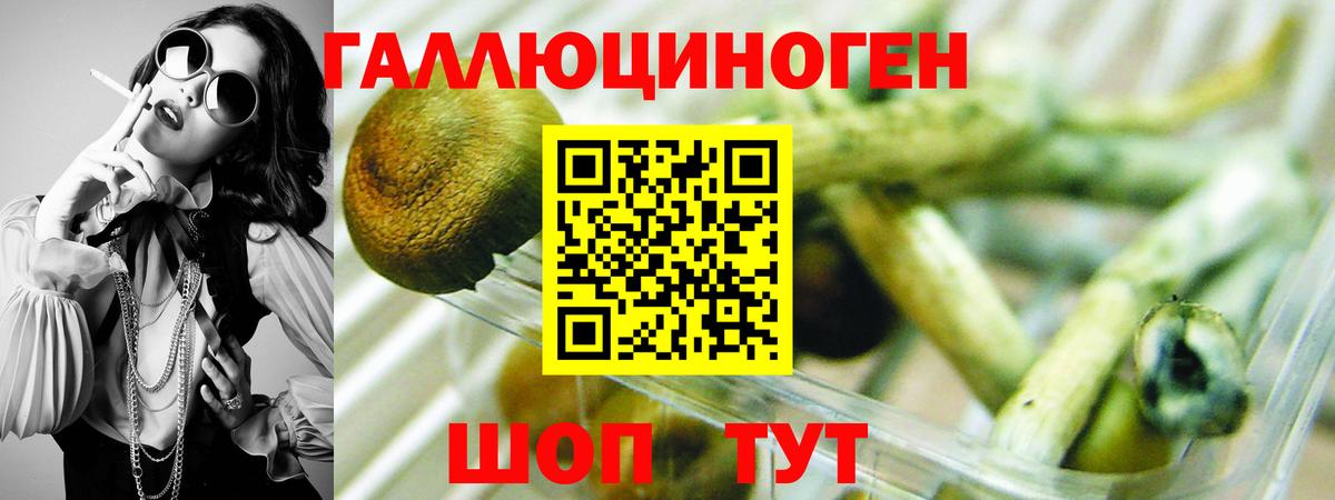 Галлюциногенные грибы мицелий Сочи