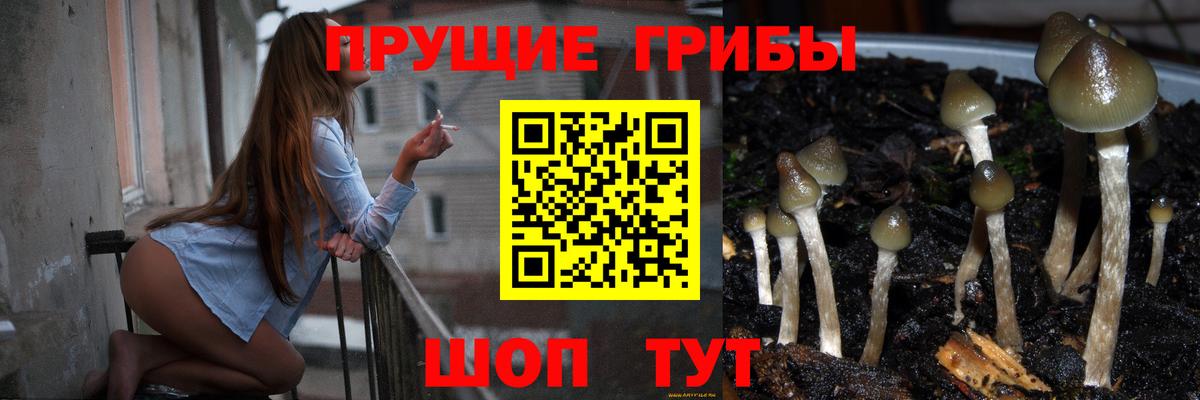 Псилоцибиновые грибы Magic Shrooms  хочу наркоту  Сочи  Вход с VPN  Галлюциногенные грибы мицелий 