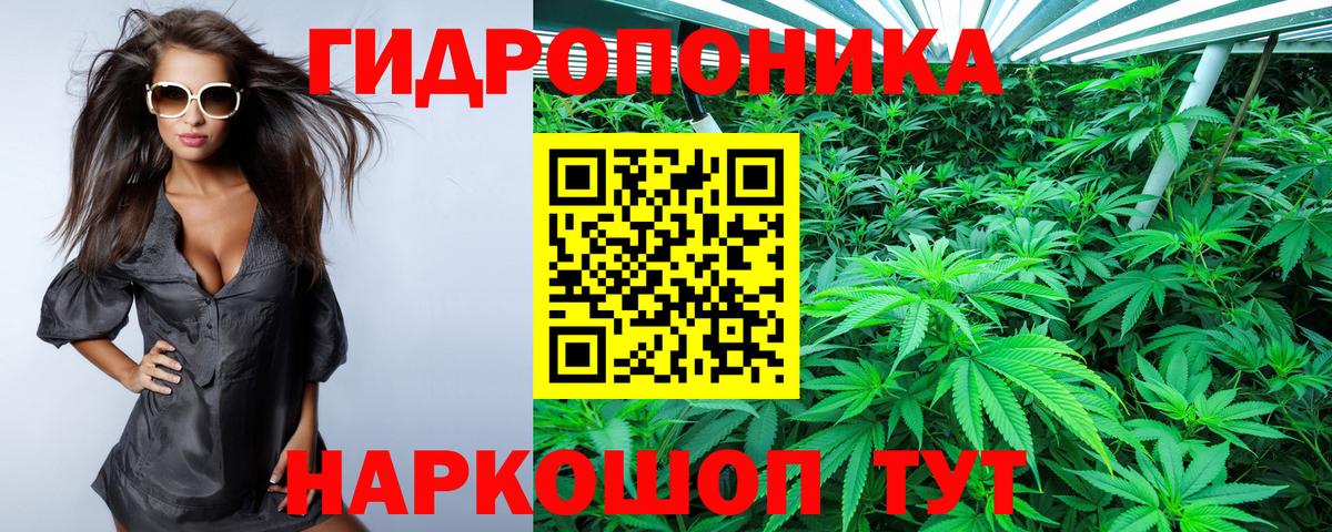 Сочи  Бошки Шишки Amnesia  Шишки марихуана марихуана  Вход с VPN  Бошки Шишки семена 